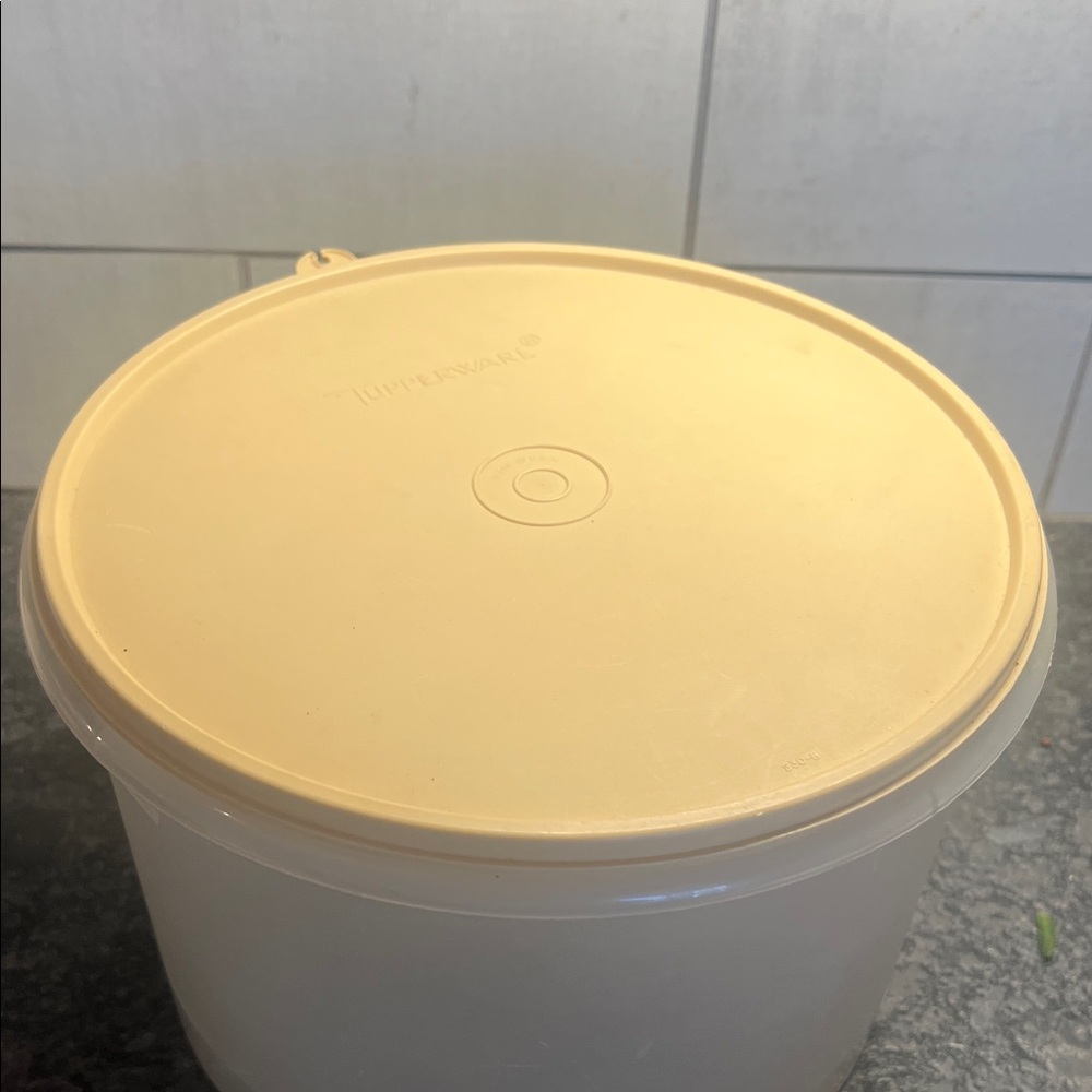 Translucent Storage Container with Cream Lid - Picture 2 of 4